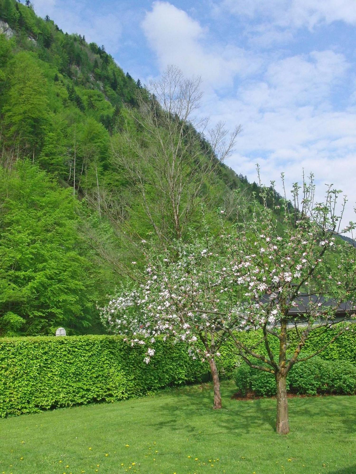 Haus Seehof Sankt Gilgen Extérieur photo